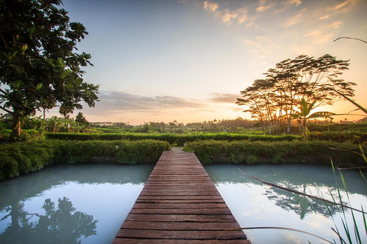 Griya Kcb Villa Ubud Mas  ภายนอก รูปภาพ